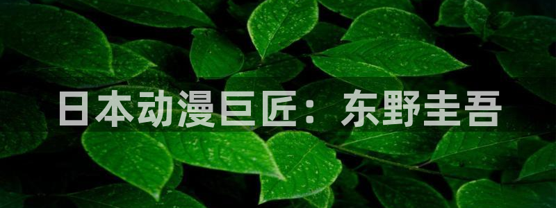 禁漫天堂好卡：日本动漫巨匠：东野圭吾