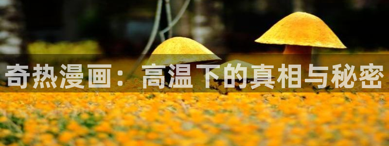 禁漫天堂直接看：奇热漫画：高温下的真相与秘密